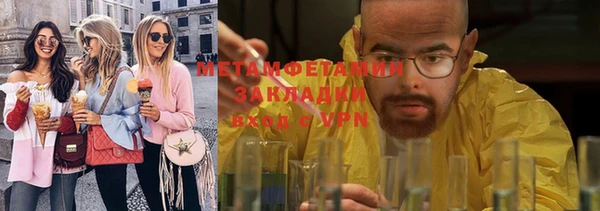 прущие грибы Ладушкин