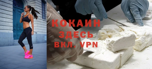 прущие грибы Ладушкин
