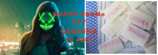 крисы Верея