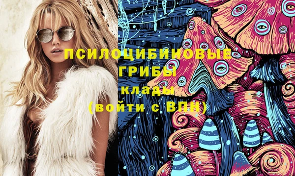 прущие грибы Ладушкин