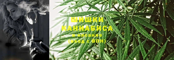spice Лагань