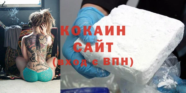 прущие грибы Ладушкин
