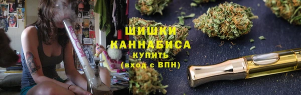 прущие грибы Ладушкин