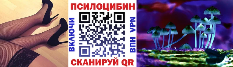 KRAKEN зеркало  Макушино  Псилоцибиновые грибы Cubensis 